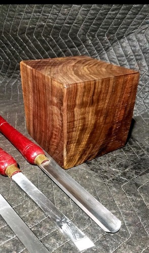 6 black walnut - 1),