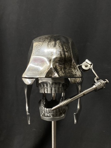 Dental phantom oddities skull - dental,