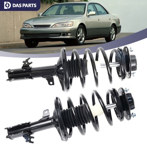 Front struts coil spring - 2x,