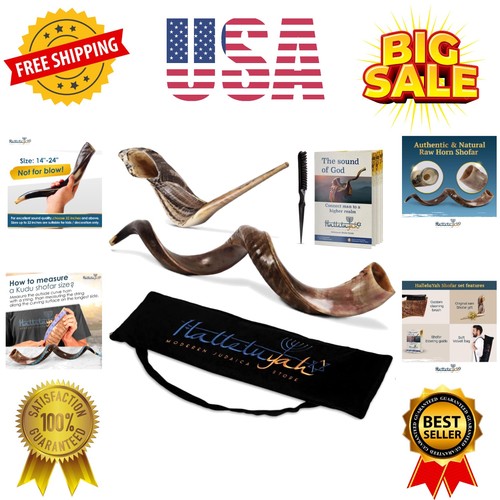Yemenite kudu shofar - yemenite,