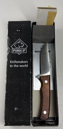 Puma mountain lion - mountain,