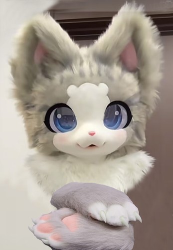Fursuit long fur husky fox - fur,