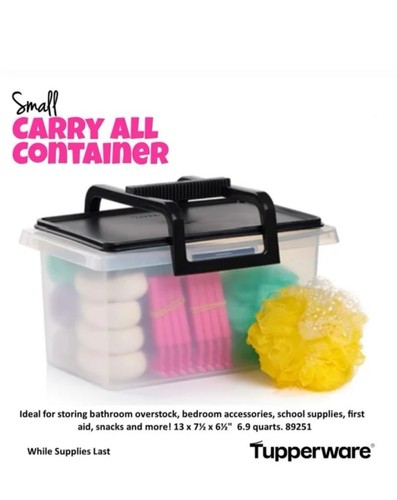 Tupperware small carry - carry, all