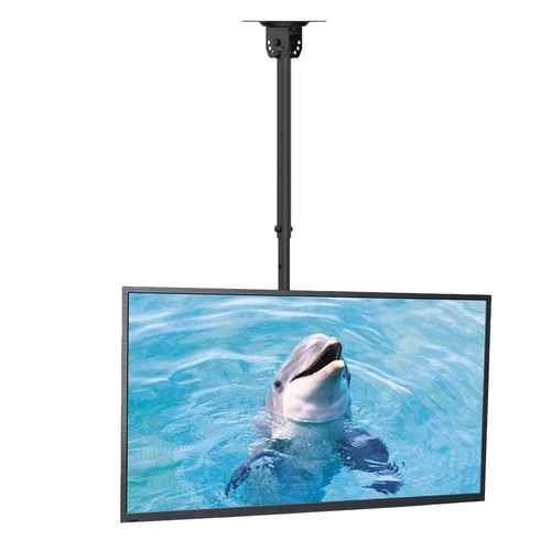 Ceiling mount fits - mount, most
