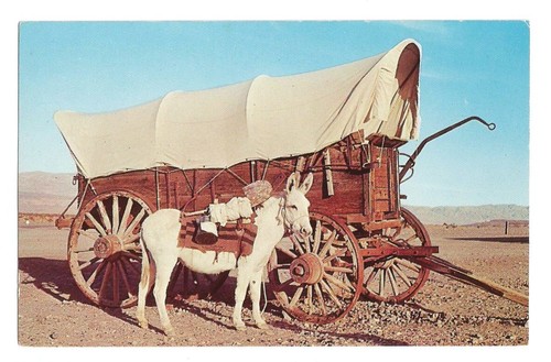 Donkey burro postcard wagon - donkey,