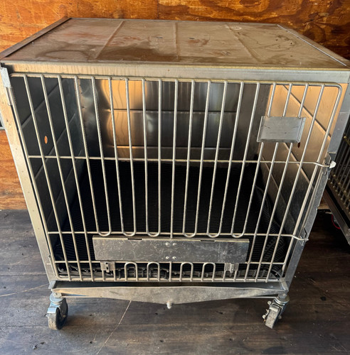 Stainless steel animal - stainless,