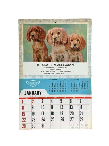 Complete vintage 1961 - 1961, puppy