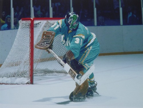 Nhl hockey photo print gary - nhl,