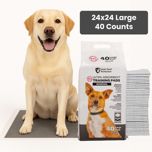 Pet training pads - training, for