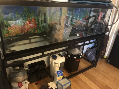 125 gal aquarium - gal, and