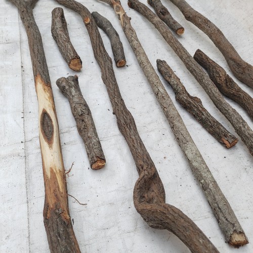 Diamond willow wood carving - 5,