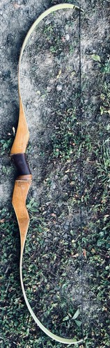 Bear archery grizzly - bear,