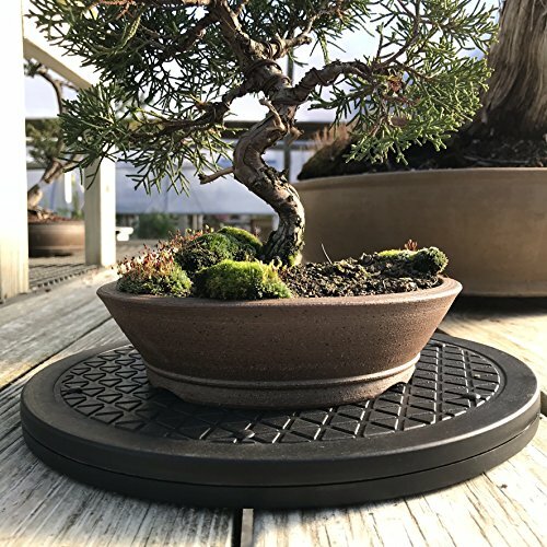 Bonsai turntable base - bonsai,