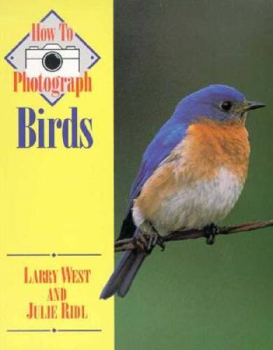 How photograph birds - photograph,