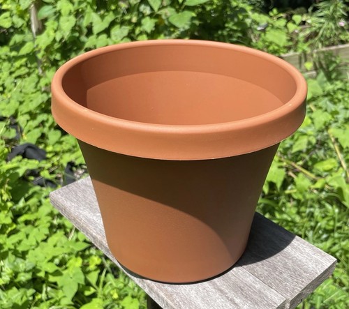 Inch flower pot bloem - flower,