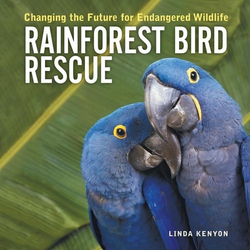 Rainforest bird rescue - bird,