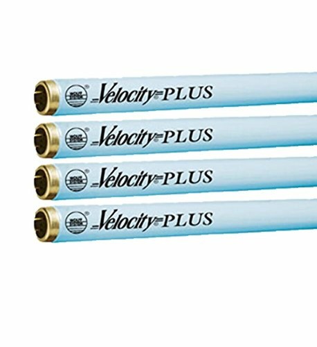 Wolff velocity plus f71 100w - plus,
