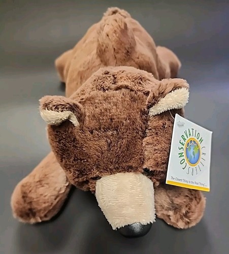 Conservation grizzly bear - 13",