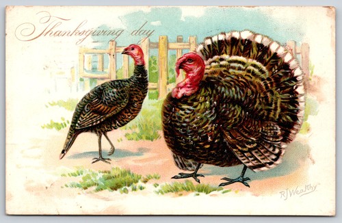 Thanksgiving watchful tom - thanksgiving~watchful,