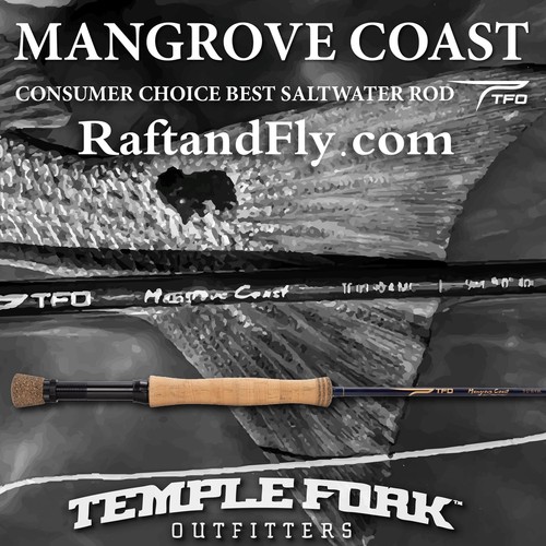 Tfo mangrove coast - mangrove,