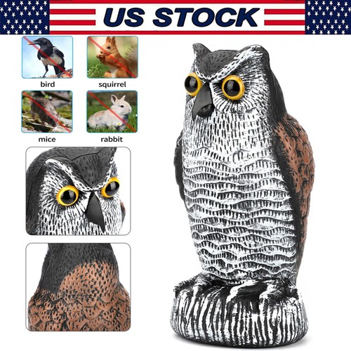 Owl decoy statue bird - statue, scare