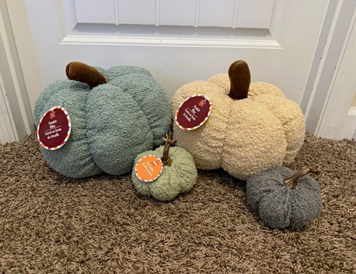 Viral coastal pumpkin pillows - viral,