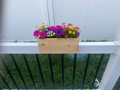 Deck rail cedar - rail,
