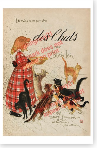 French cats kittens milk des - french,