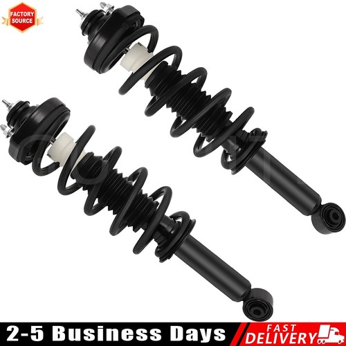 Rear struts with coil spring - with,