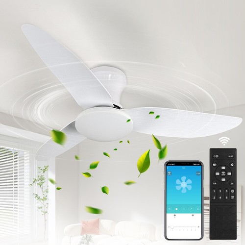 Modern fan lights flush - lights,