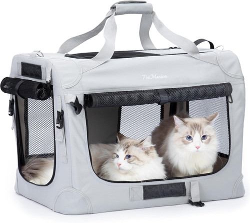 Extra large cat - large, 2