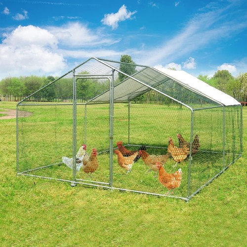 Large walk chicken - in, coop
