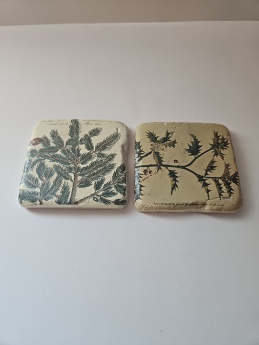 Set vintage botanical - set,
