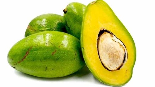 Grafted choquette avocado - choquette,