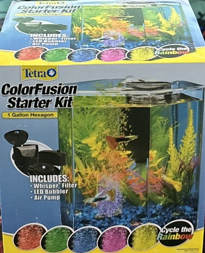 Tetra color fusion starter - starter, kit