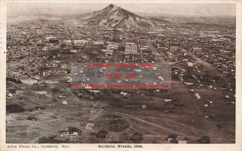 Goldfield nevada bird - goldfield,, nevada,