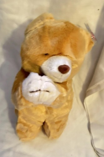 Beanie buddies hope praying - ty,
