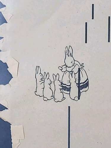 Peter rabbit player - rabbit,