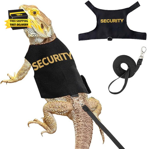 Bearded dragon harness and - bearded,