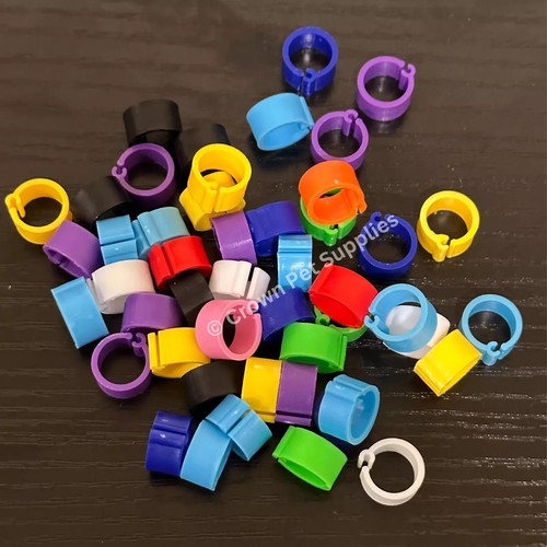 100pcs leg bands - leg,