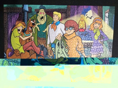 Ravensburger 1000 piece puzzle