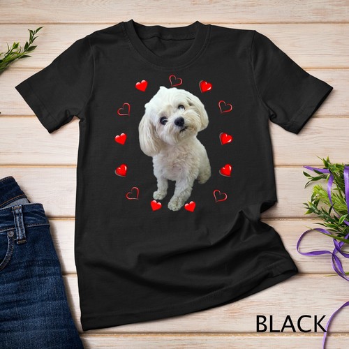 Maltese dog lover - dog, owner