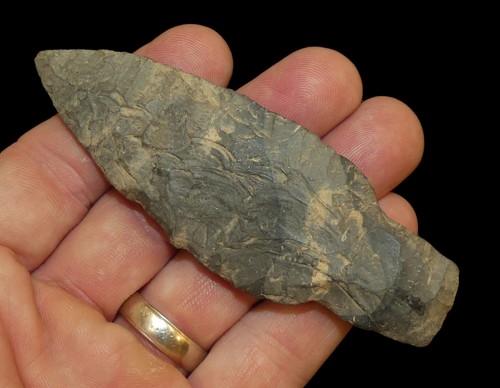 Paleo lanceolate richland - paleo,
