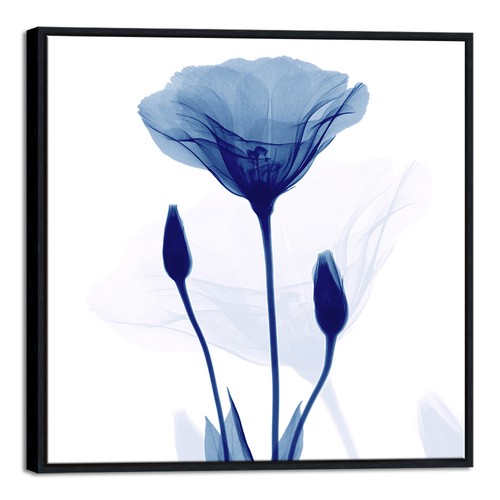 Large black framed - large,