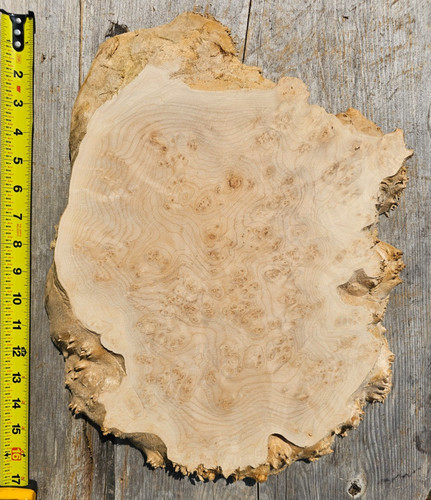 Live edge maple wood burl - edge,