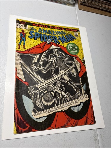 The amazing spider - the,