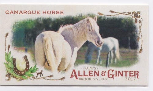 2017 allen ginter mini - &,