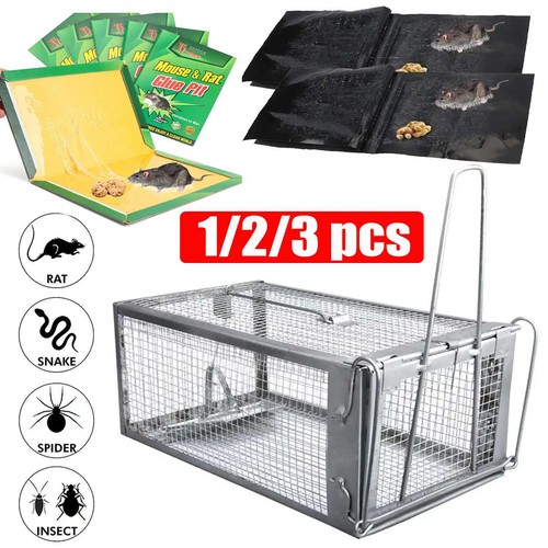 Mice mouse trap - mouse,