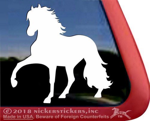 Peruvian paso horse trailer - horse,