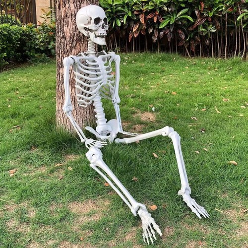4ft poseable skeleton prop - poseable,